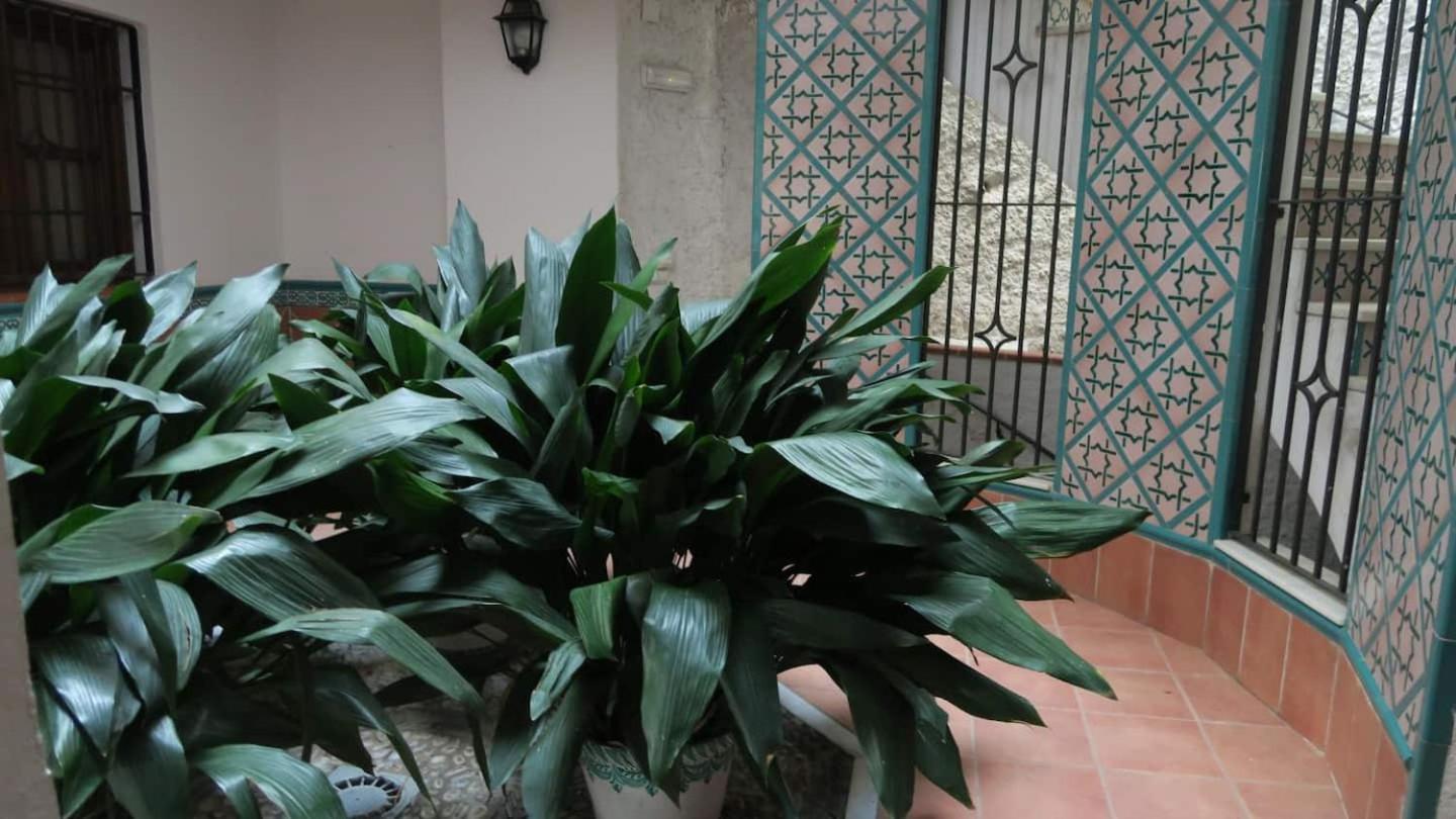 דירות גרנדה Charming Albaicin Patio Flat Free Onsite Parking מראה חיצוני תמונה