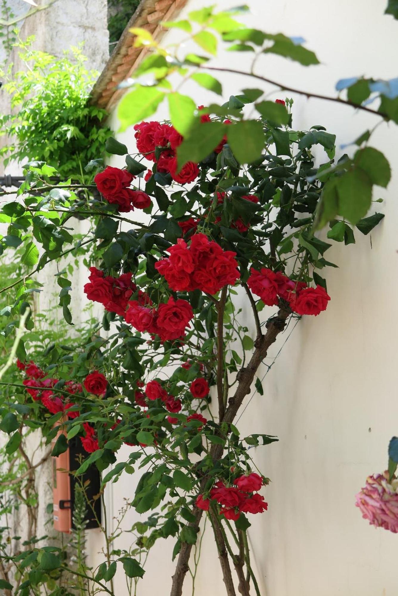 דירות גרנדה Charming Albaicin Patio Flat Free Onsite Parking מראה חיצוני תמונה