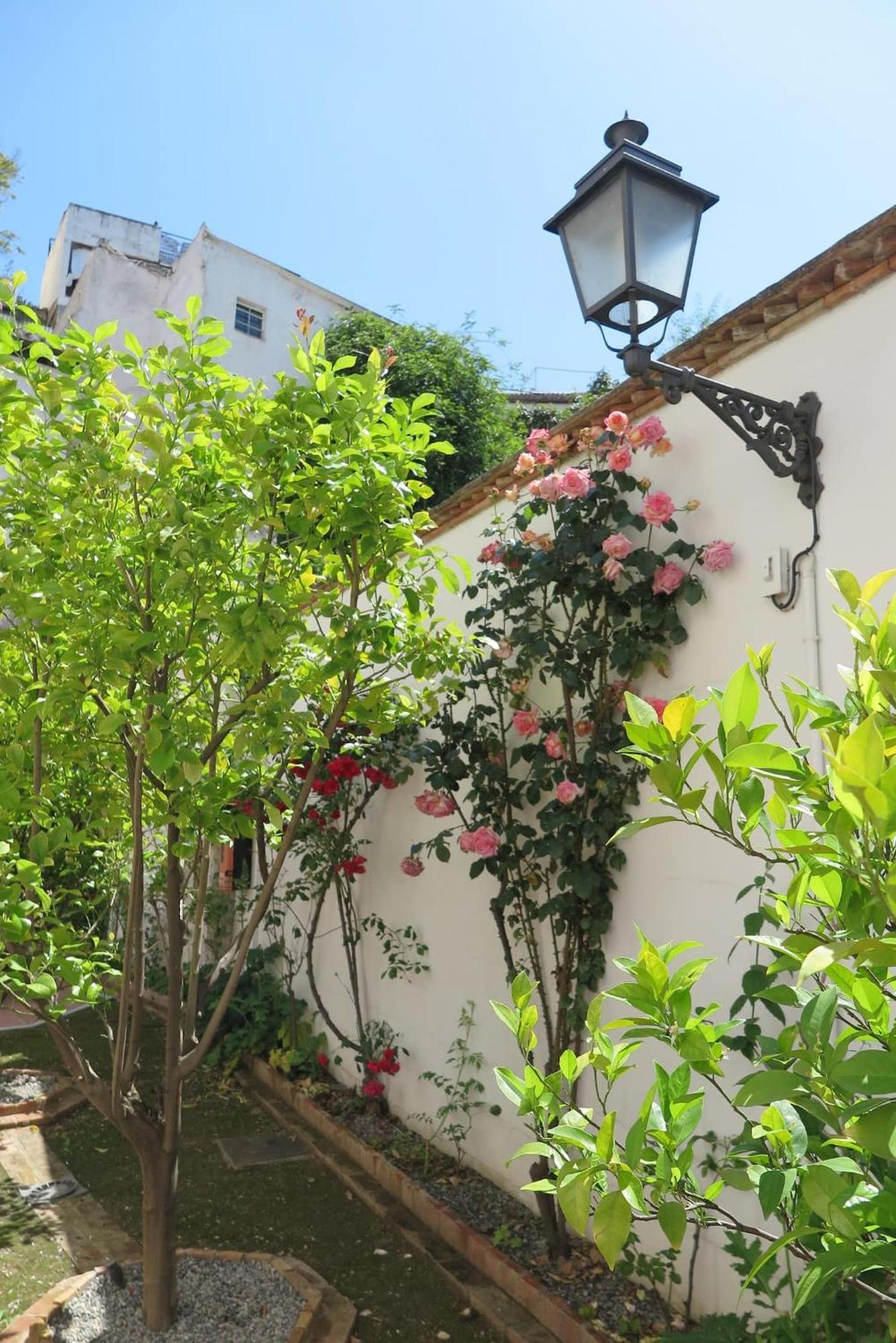 דירות גרנדה Charming Albaicin Patio Flat Free Onsite Parking מראה חיצוני תמונה